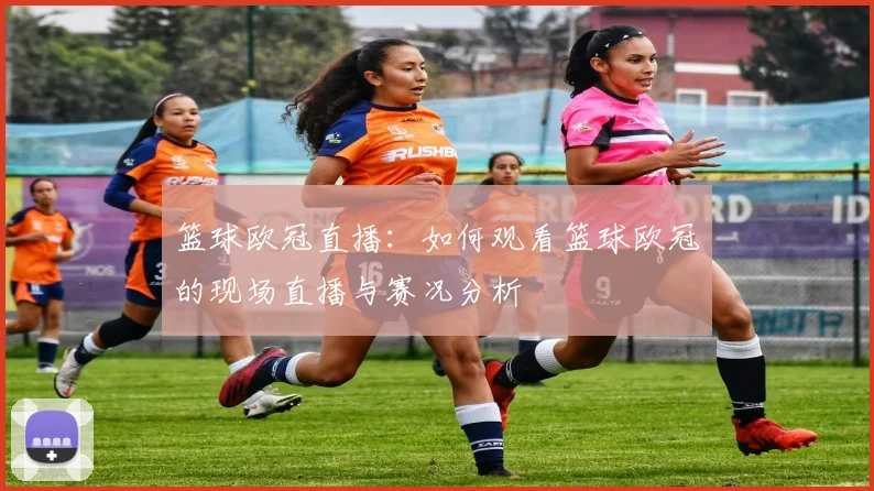 篮球欧冠直播：如何观看篮球欧冠的现场直播与赛况分析
