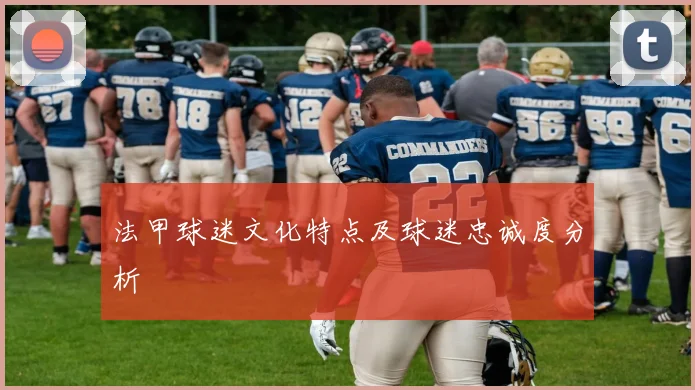 法甲球迷文化特点及球迷忠诚度分析