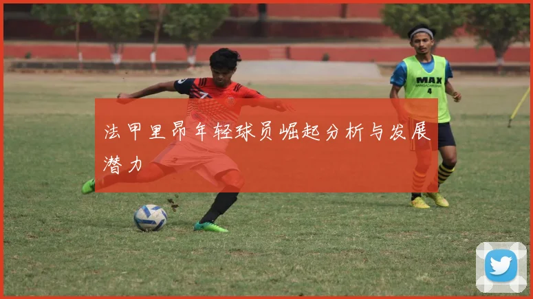 法甲里昂年轻球员崛起分析与发展潜力