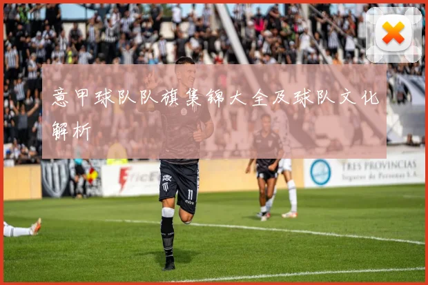 意甲球队队旗集锦大全及球队文化解析