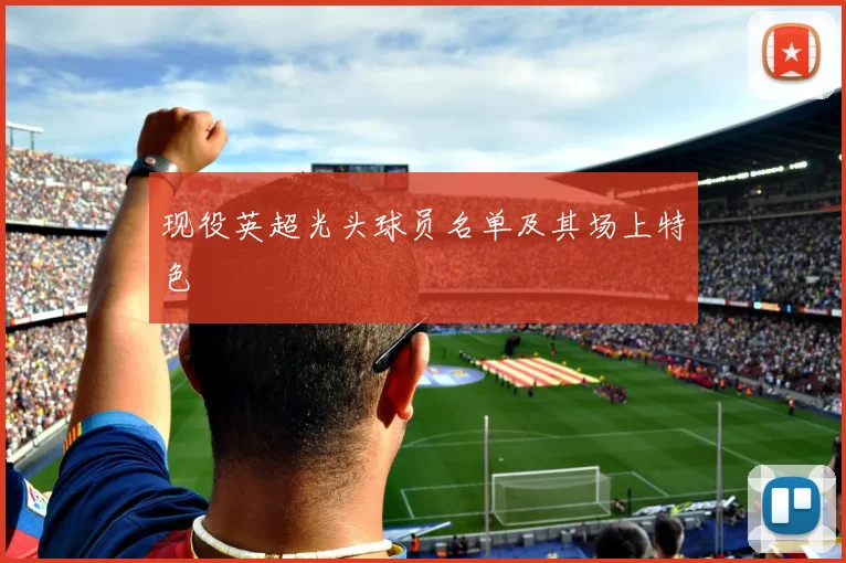 现役英超光头球员名单及其场上特色