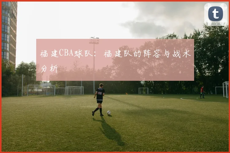 福建CBA球队：福建队的阵容与战术分析