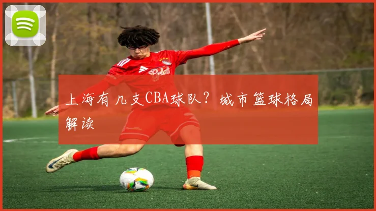 上海有几支CBA球队？城市篮球格局解读